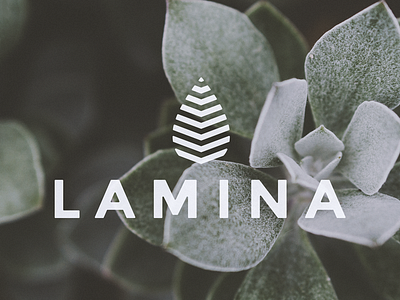Lamina bold branding clean corporate design icon leaf logo logodesign minimal plant