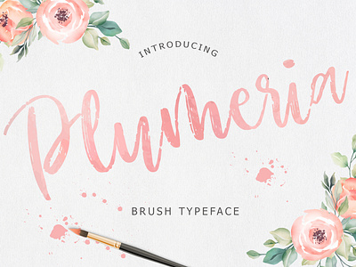 Plumeria Brush Script Font