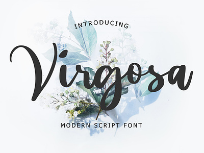 Virgosa Modern Script Font beautiful calligraphy font foundry hand handwritten lettering ligature luxury modern monoline script signature typeface typography