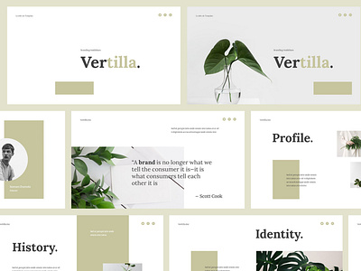 Vertilla-Brand Guideline Powerpoint