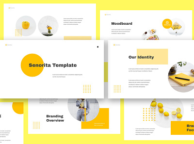 Senorita Brand Guideline Keynote blogging book brand branding brochure catalog fashion guide guidelines keynote manual mood board nude nuetral pitch deck powerpoint pptx presentation style visual style