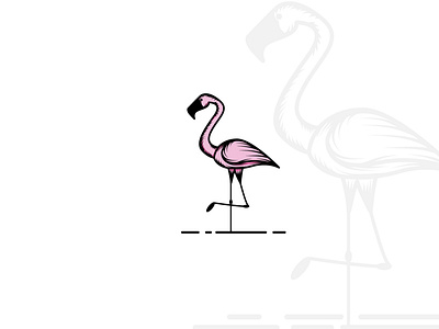 flamingo