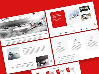 SAS website design branding design graphic design vector website