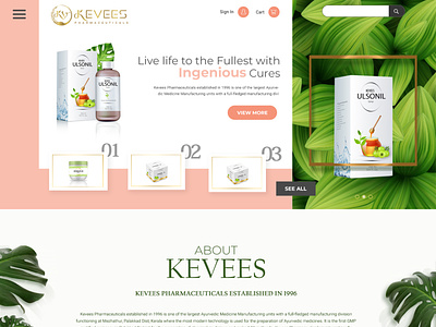 Kevees animation branding design illustration logo typography vector website