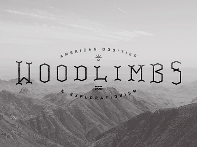 Woodlimbs illustration photography type