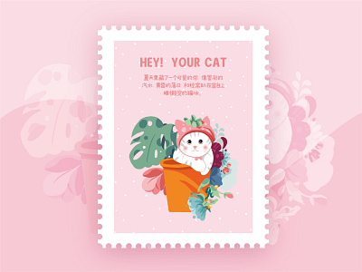 睡懒觉的猫咪 animation app design illustration minimal typography ui web 人物 猫