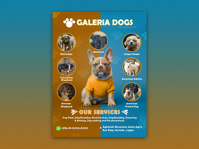 Galeria Dogs Poster ad advert brand breeds confident design digital poster dogs exciting pets poster warm