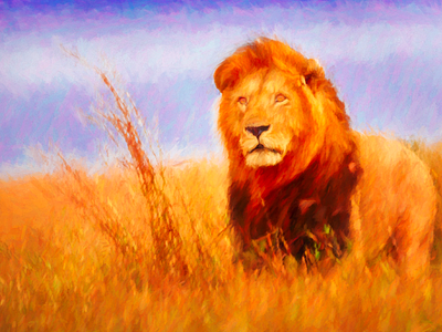 Lion in Field blend color digital painting lion watercolor