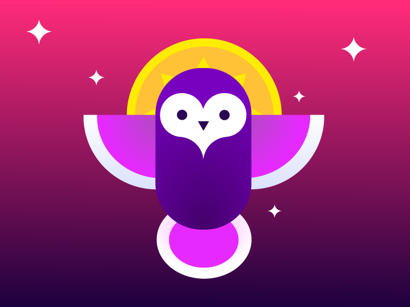 Owl Flies By Night moon sun dusk night flight owl