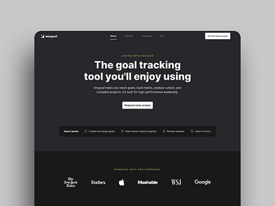 Anygoal Landing Page branding ui ux