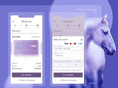 Daily UI - 002 Credit card checkout 2/2