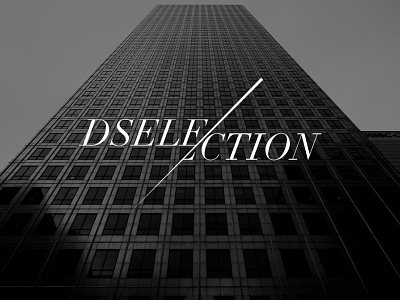 Dselection logo branding davidoff logo