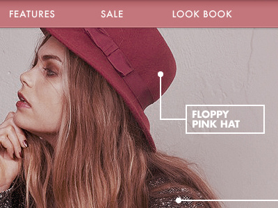 .NET Website Makeover 2 brown pink shop women