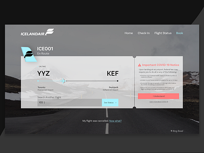 Icelandair airline covid19 dribbble flight flight booking minimal nature pastel responsive ticket tracker travel ui uidesign web webdesign