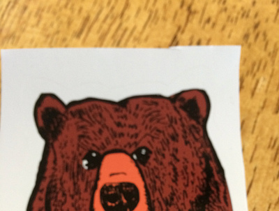 Bear sticker animal art artwork design illustration lino linocut