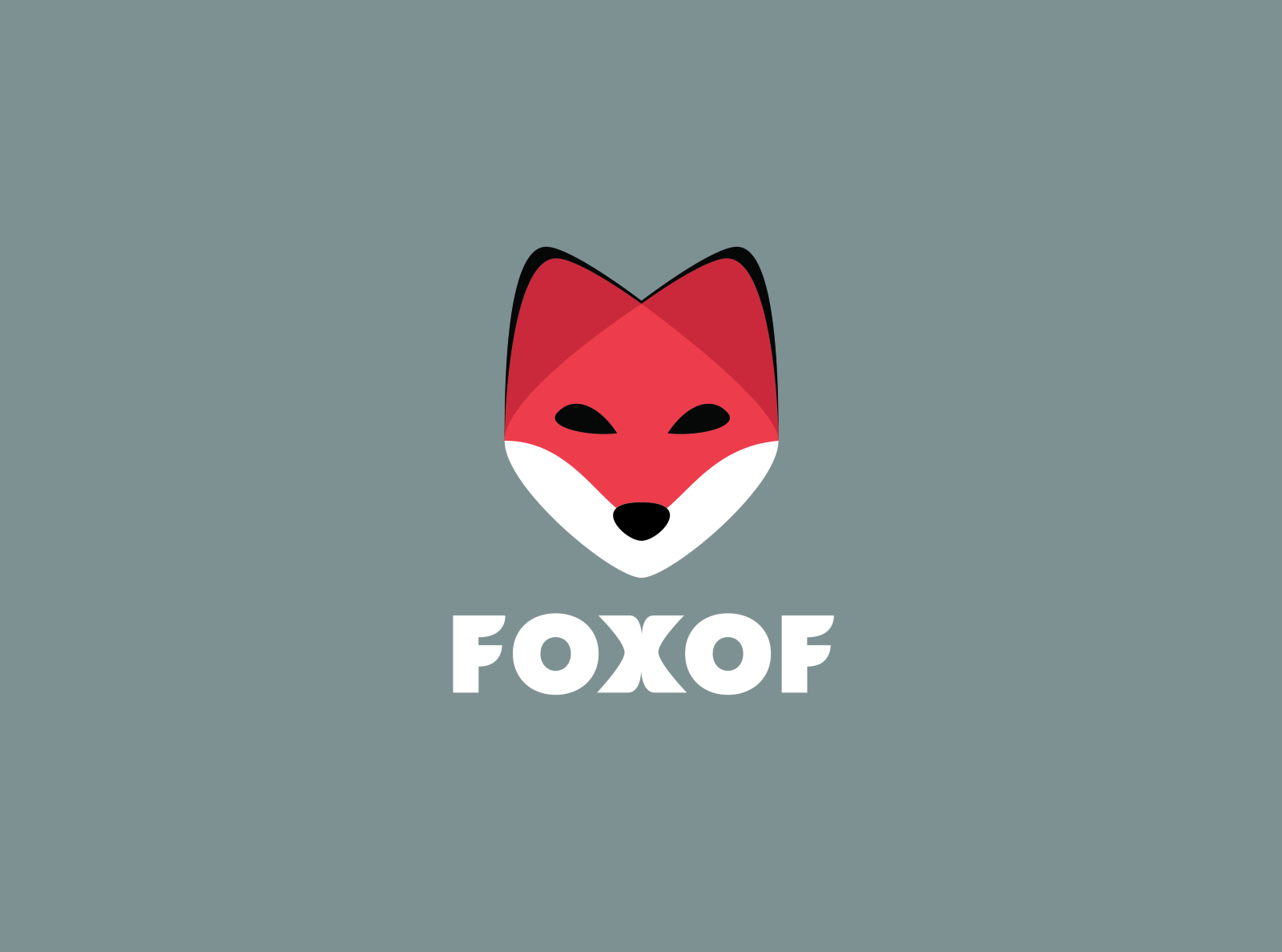 DL 16 Foxof by Connor Yorks on Dribbble