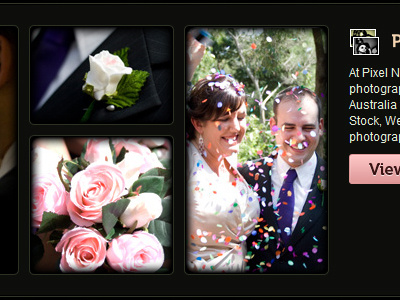 Photo layout - overlays green overlay photo pixel nourish portfolio wedding work in progress
