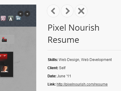 Website redesign - portfolio item pixel nourish portfolio redesign theme wordpress
