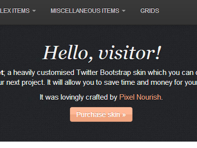 Bootstrap Skin bootstrap browser codecanyon css edit skin twitter bootstrap work in progress