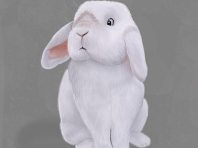 Furry bunny 🐰 3/50 One day one illustration illustration art