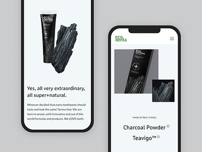 Web Design for Ecodenta - Responsive branding design eco logo mobile natural organic package product responsive toothpaste ui ux web web design website