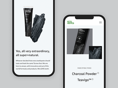 Web Design for Ecodenta - Responsive