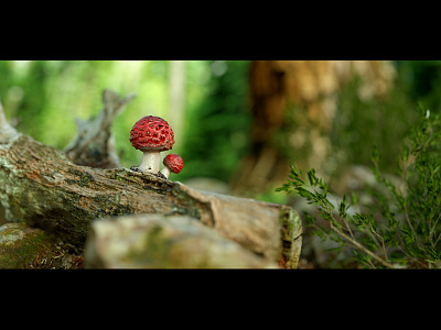 Mushroom 3d c4d forest macro mushroom octane photo render stone wood