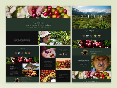 Nespresso Expertise - The Origins clean coffee design human interface minimal nespresso typography ui ux webdesign website