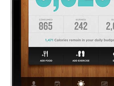 App Remix: Lose It! app ios iphone simple stats texture typography ui