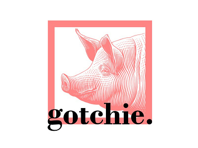 Gotchie branding and identity branding design fashion logo