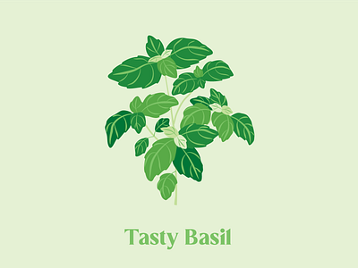 Hand-drawn Basil Illustration affinity designer agronomy basil flower graphic design green hand drawn herb icon illustration illustrator original packaging procreate summer tasty vector