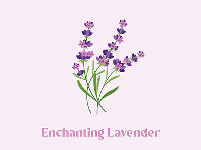 Hand-drawn Lavender Illustration affinity designer agronomy design enchant flower graphic design hand drawn herbs icon illustration illustrator lavender logo original procreate purple summer vector