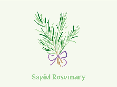 Hand-drawn Rosemary Illustration affinity designer agronomy design flower graphic design green hand drawn herbs icon illustration logo rosemary summer vector