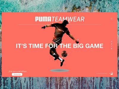 Puma Teamwear football puma soccer sport team