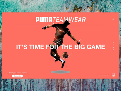 Puma Teamwear