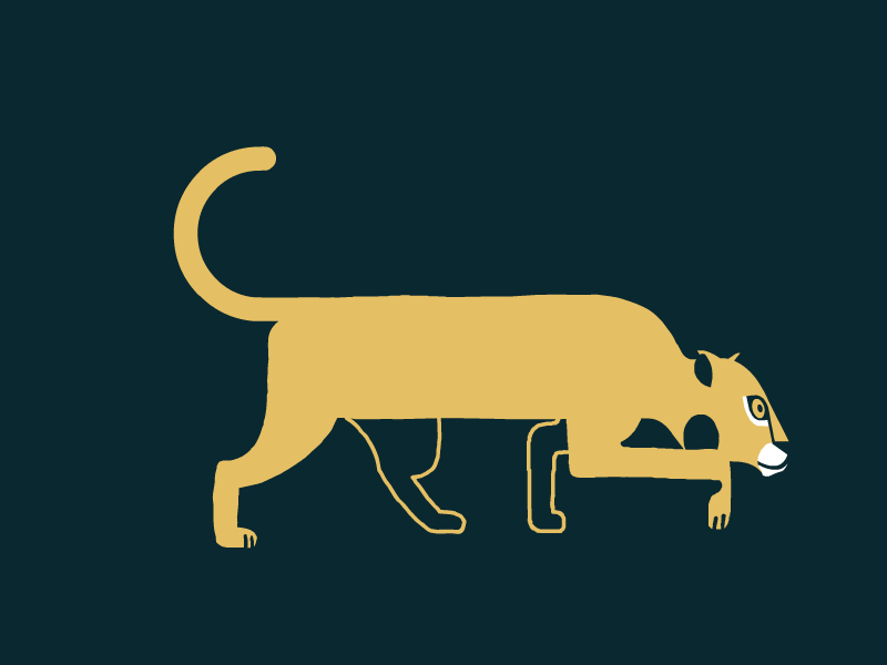 sneaky jaguar [gif] 2d animal animaton cel character gif jaguar panther walk