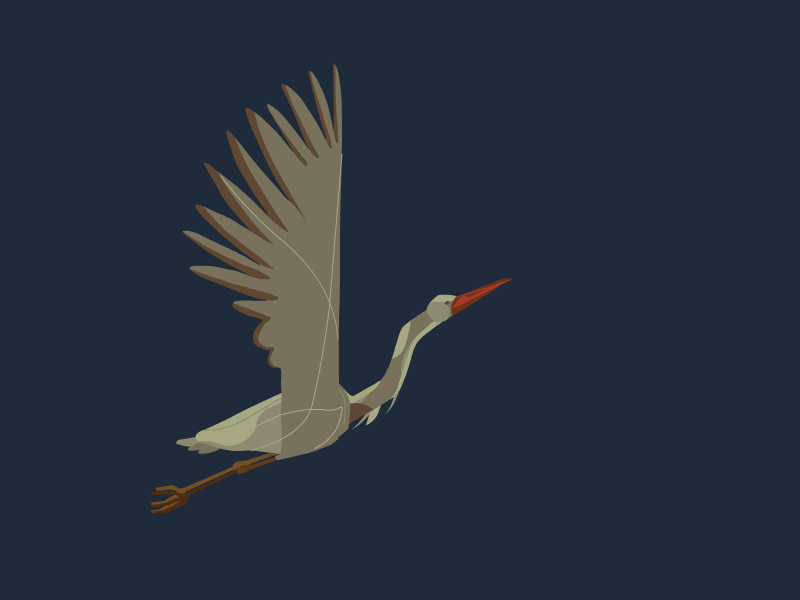 elegant heron [gif]