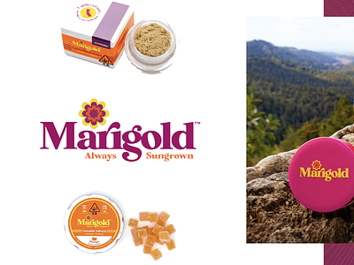 Marigold Branding