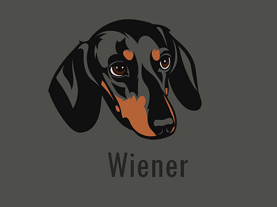 vector-art-dog art book dog dog art flat graphic illustration logo mascot logo portait portrait design portrait illustration vector vector artwork wiener dog