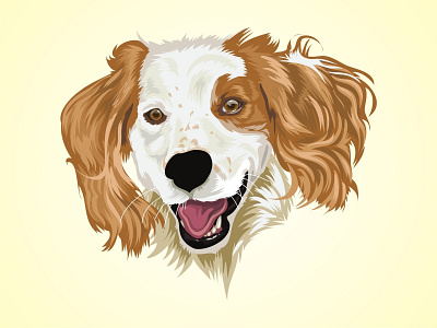 Vector Pet animal animal art animal character cartoon cartoon illustration color design dog mascot pet petshop vector