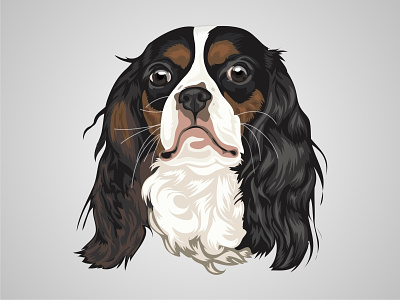 Vector Pet animal cartoon character color design art dog drawing illustration pet petshop vector