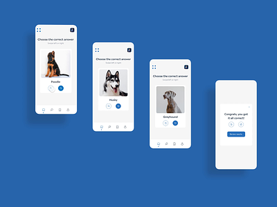 Dog breed learning app for kids adobexd animation app interaction kids learning mobile premiere prototype swipe ui ux xd