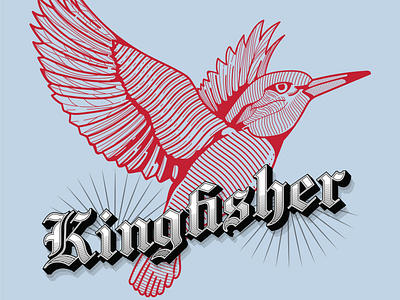 Vintage kingfisher line art