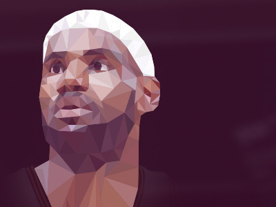 LeBron James cavaliers cavs cleveland lebron lebron james poly