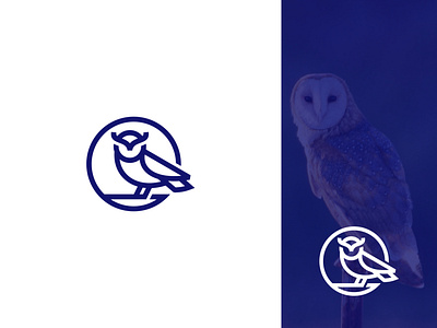 OWL design geometic geometric icon illustration line art logo design owl real estate realty vector