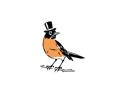 ROBIN BIRD