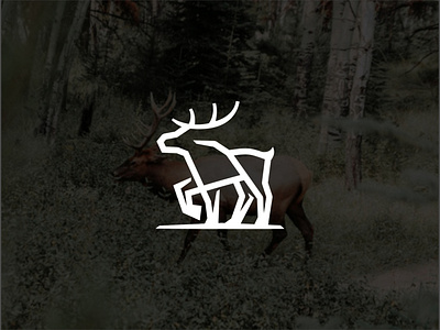 ELK