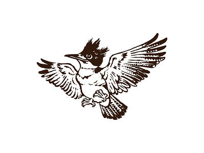 KINGFISHER bird drawing graphic design illustration kingfisher logo design simple logo skecth vector