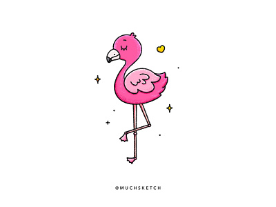 Tickled pink 🦩