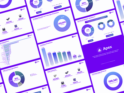 Apex Visibility Data Visualisation deck adobe illustrator branding campaignmonitor data data analyis data visulization data viz dataviz keynote keynote design pitch deck presentation presentation design presentation layout report reporting typography vector